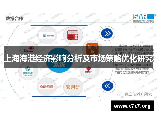 上海海港经济影响分析及市场策略优化研究