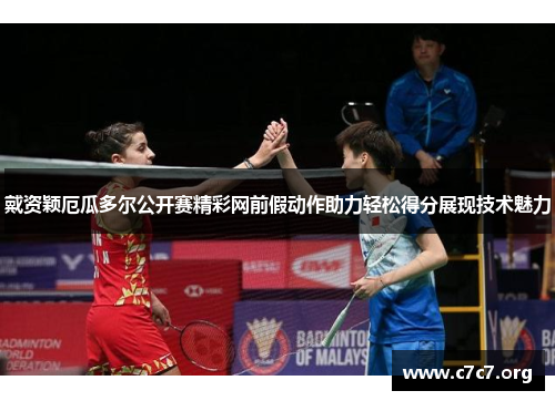 戴资颖厄瓜多尔公开赛精彩网前假动作助力轻松得分展现技术魅力