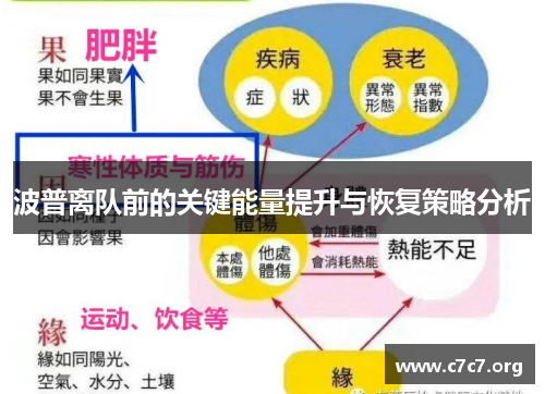 波普离队前的关键能量提升与恢复策略分析 波普离队前的关键能量提升与恢复策略分析