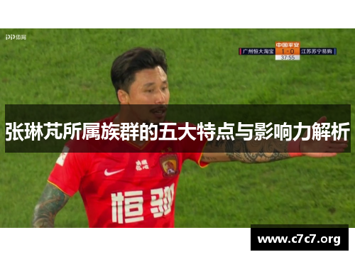 张琳芃所属族群的五大特点与影响力解析 张琳芃所属族群的五大特点与影响力解析