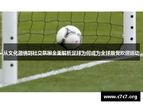 从文化激情到社交氛围全面解析足球为何成为全球最受欢迎运动