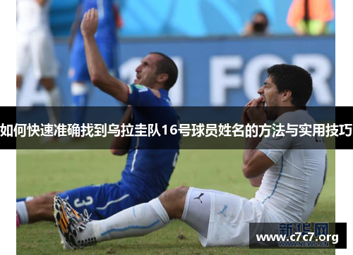 如何快速准确找到乌拉圭队16号球员姓名的方法与实用技巧