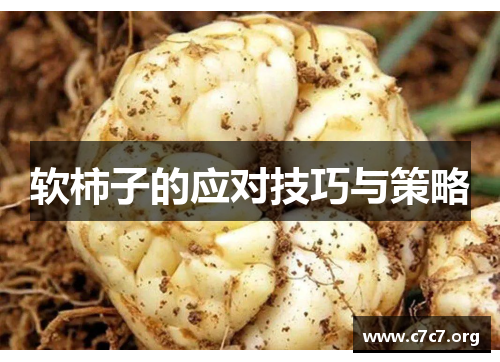 软柿子的应对技巧与策略 软柿子的应对技巧与策略