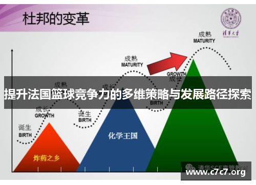 提升法国篮球竞争力的多维策略与发展路径探索